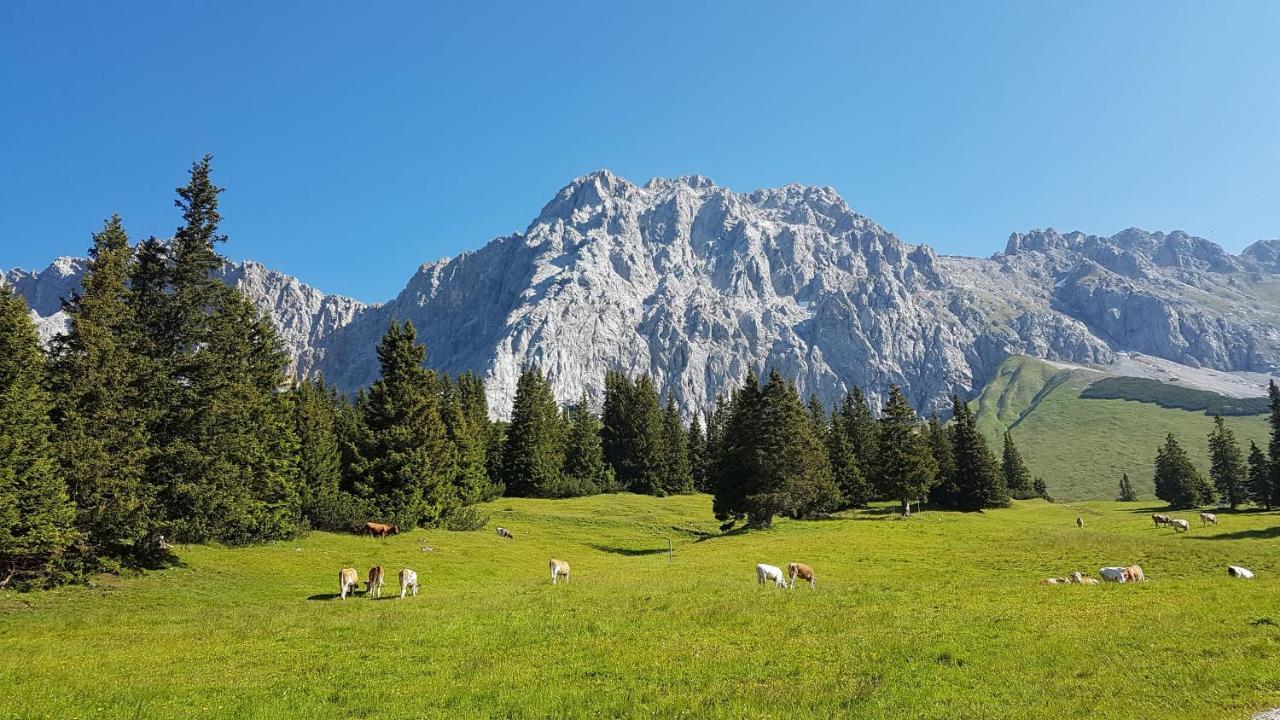 Ferienhaus Villa Alpenpanorama Ohlstadt Eksteriør bilde